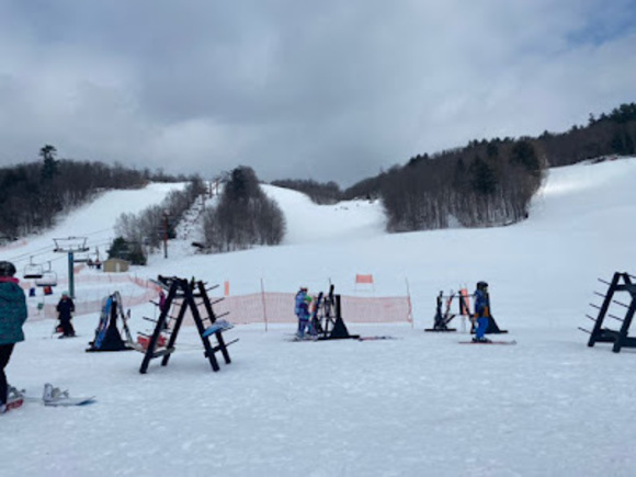 Meet your Posher, Avery - Picture 1 of 1